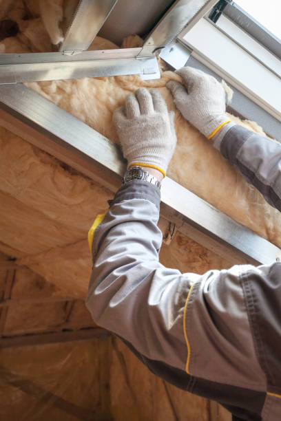 Best Eco-Friendly Insulation in Marfa, TX