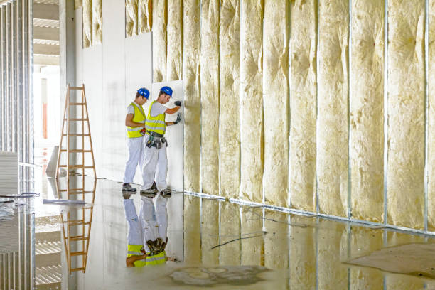 Best Cellulose Insulation in Marfa, TX